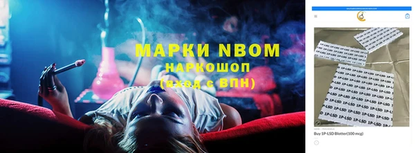 твердый Ладушкин