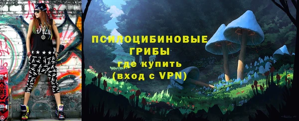 молекула духа Алексин