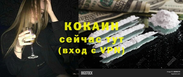 твердый Ладушкин