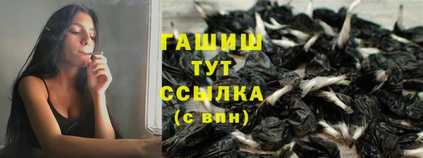 молекула духа Алексин