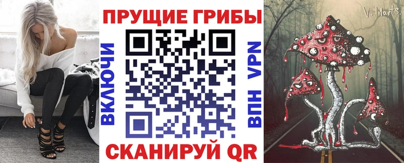 Галлюциногенные грибы прущие грибы  закладки  Томск 